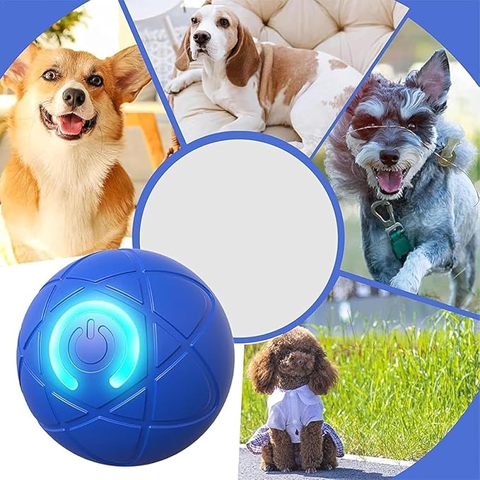 Interactive Cat Toy Ball - Automatic Cat Toy, USB Interactive Dog Ball Toy, Rolling Ball Dog Toy, Rechargeable Dog Interactive Toys Dog Ball with LED Light, Indoor Active Rolling Toys for Indoor Play