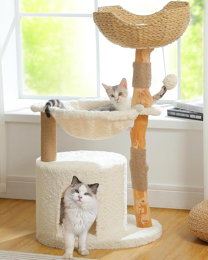 MUTTROS Modern Cat Tree for Large Cats, Wood Cat Tower for Indoor Cats, Real Branch Luxury Cat Furniture with Super Large Cozy Condo and Hammock & Scratching Post, Top Basket, White