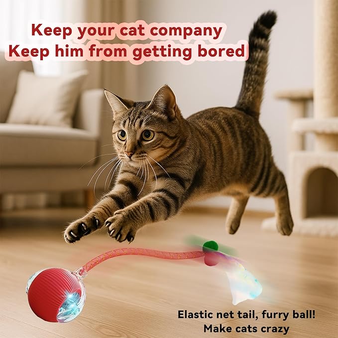Valentines Day Gifts Speedy 2.0 Tail Interactive Cat Toys for Indoor Cats, Automatic Cat Toy with Elastic Mesh Tail, Electric Rolling Ball on Carpet, Chirping and Motion Activate Cat