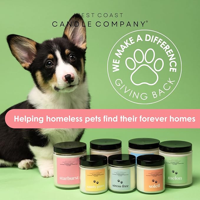 Lavender | Pet Safe Wax Melts | All Natural Soy | Non-Toxic | Dog Friendly | Vet Approved | Long Lasting Home Fragrance | Pet Odor Eliminator | Clean Burning Wax Cubes | Safe Air Freshener