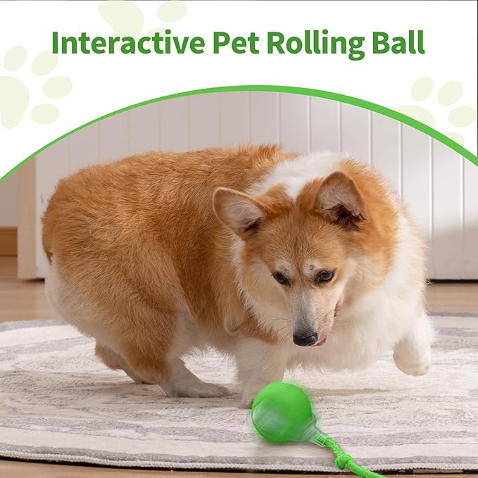 1pcs Smart Interactive Pet Toy Ball, Self Rolling Dog Ball Interactive Cat Toys, 360° Smart Automatic Rolling Ball Toy for Dogs Cats Indoor Outdoor Play (Red)