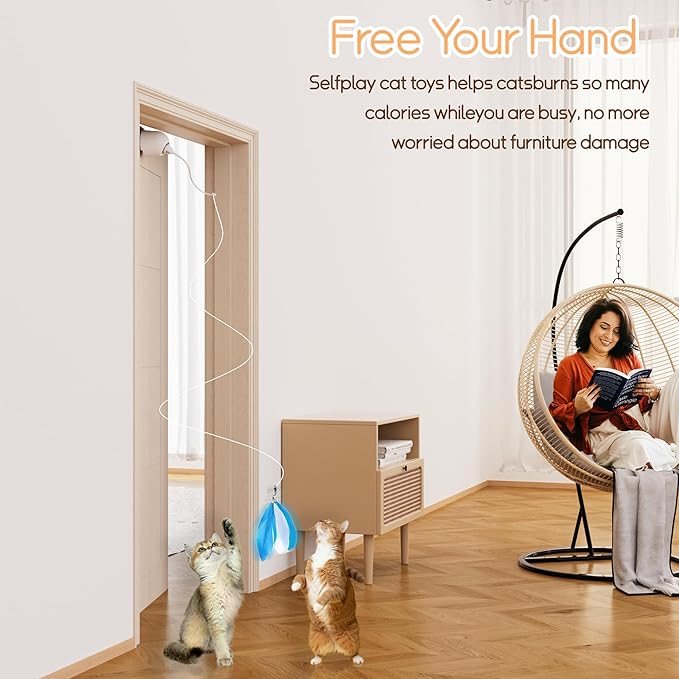 Automatic Door Hanging Cat Toy - Rechargeable Electric Feather Teaser Remote Control, 4 Replaceable Feathers, Interactive Exercise Toy for Indoor Cats & Kittens (White)