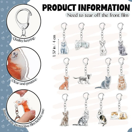 12 Set Cute Cat Keychain with Positive Cards and Bags Cats Animal Keychains Inspirational Gifts for Women Men Coworker Employee Stuff Team