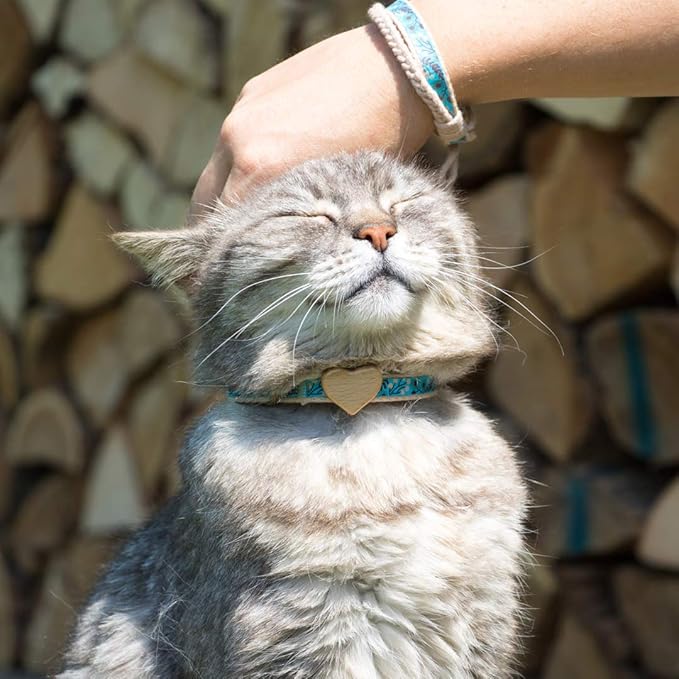 Pettsie Breakaway Cat Collar with Wooden Heart Charm & Matching Owner Bracelet – Soft Cotton, Adjustable Safety Collar for Cats, Lightweight & Stylish, 8"-11", Gift-Ready Set for Cat Lovers, Turquoise