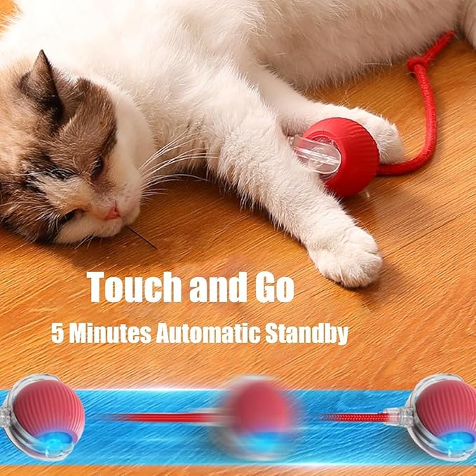Smart Motion Pet Ball, Interactive Cat Toy for Indoor Cats, Automatic Moving, Two Speed
