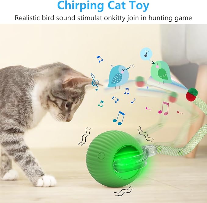 Interactive Cat Toys for Indoor Cats, Interactive Cat Ball Toy with Elastic Mesh Tail, Automatic Cat/Kitten Toys with Chirping & Motion Activate, Cat Toys for Bored Indoor (Green)