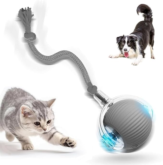 2026 New Interactive Cat Toys for Indoor Cats,Motion Activated Cat Balls with 360° Smart Automatic Rolling Moving for Bored Pet Cats Dogs. (Grey)
