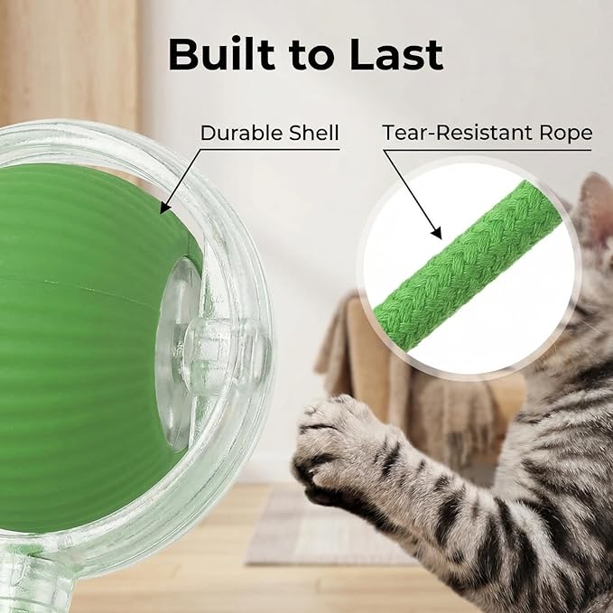 Interactive Dog Cat Toy Ball, Electric Automatic Rolling Moving USB Rechargeable Self Activated Stimulation Cat Toys for Indoor Cats and Dogs with Speedy Tail Rope(Green).