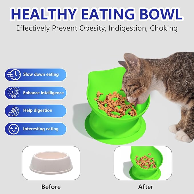 Slow Feed Cat Bowl, Elevated Cat Food Dish with Tilted Design, Dual-Use for Dry and Wet Food, Anti-Vomit, Anti-Choking, Easy to Clean