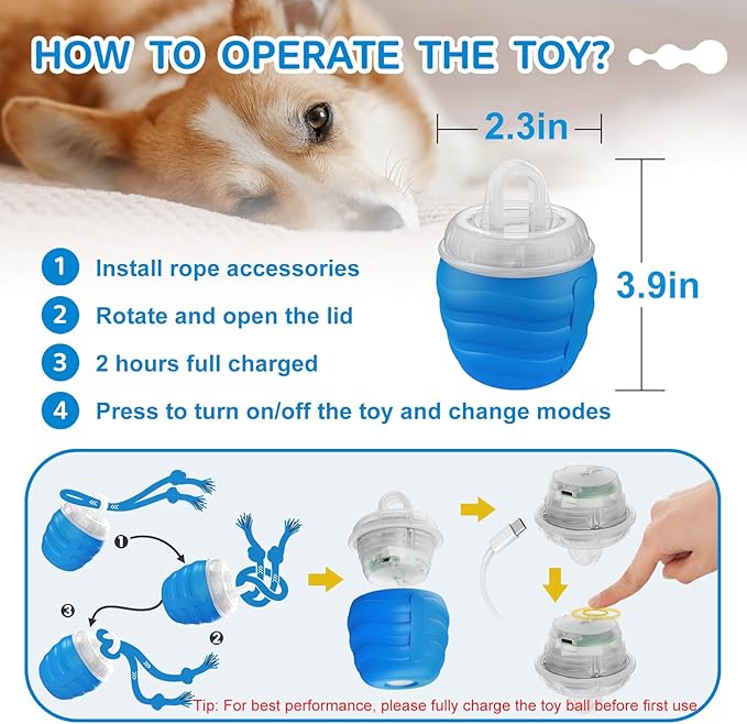 Interactive Dog Toy, [Newly Upgraded] Motion Activated Rolling Ball for Small Dogs, Automatic Moving Dogs Ball for Boredom, USB Rechargeable(Blue)