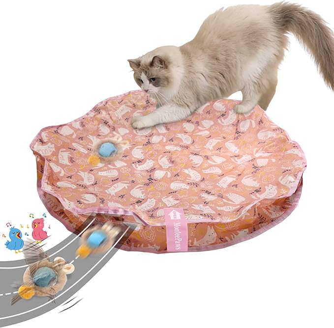 Interactive Cat Toys for Indoor Cats Fast Rolling Ball, Automatic Motion Activated Ball, Hide and Seek for Indoor Exercise Toys, Real Bird Squeaky for Kitten Exercise Kicker