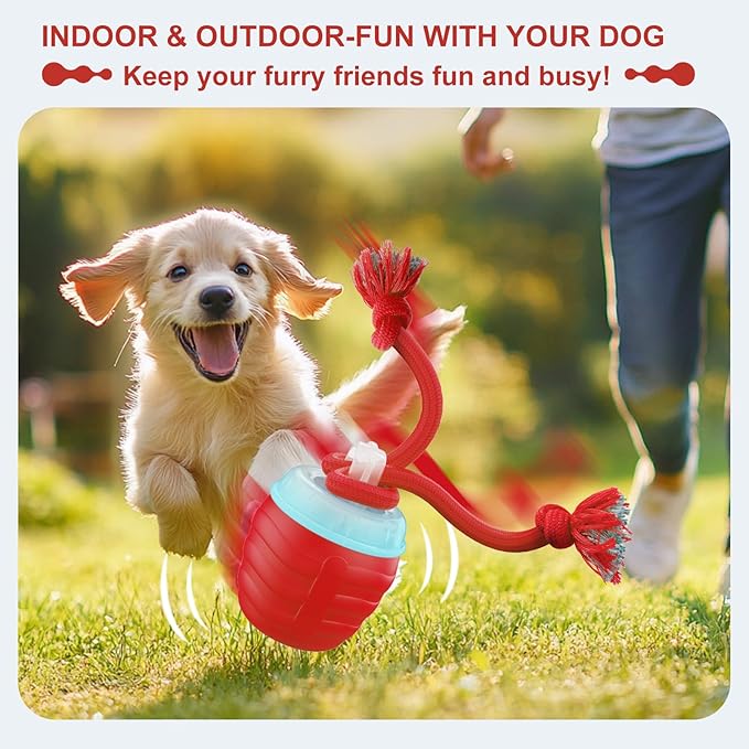 Interactive Dog Toys, Moving Interactive Dog Ball with Touch Activated, Automatic Rolling Ball Toys for Puppy/Medium Dogs, Squeaky Dogs Toy Active Rolling Wicked Balls for Daily Training (red)