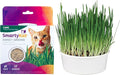 SmartyKat Sweet Greens Organic Oat Grass All-in-One Cat Grass Grow Kit, Easy-to-Grow to Support Digestion & Hairball Reduction