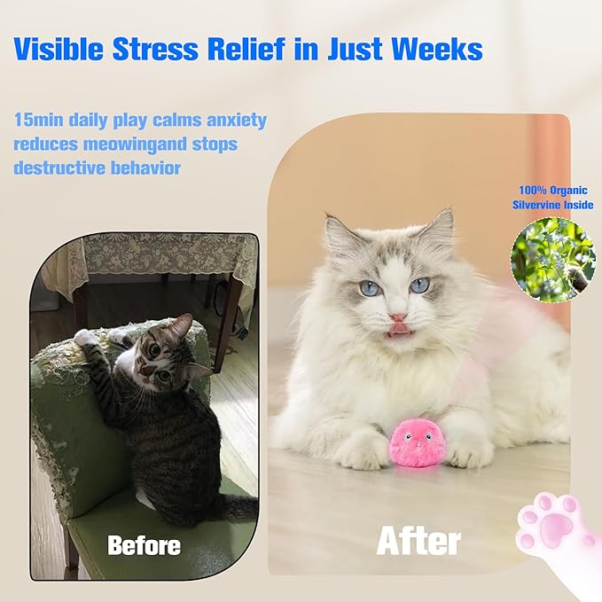 2 Pcs Cat Toy Ball, Speedy Sprint Balls and Chirping Ball, Cat Interactive Toy for Indoor, Kitty Kitten Catnip Exercise Toys