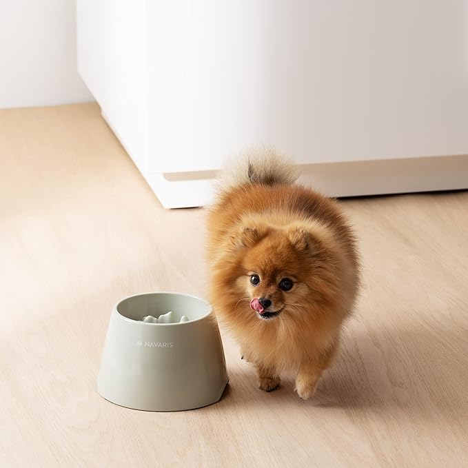 Navaris Elevated Slow Feeder Dog Bowl - Melamine Pet Food Bowl for Dogs and Cats - Raised Cat Feeding Bowl to Slow Down Eating - 7.4" x 7.36" x 4.7"