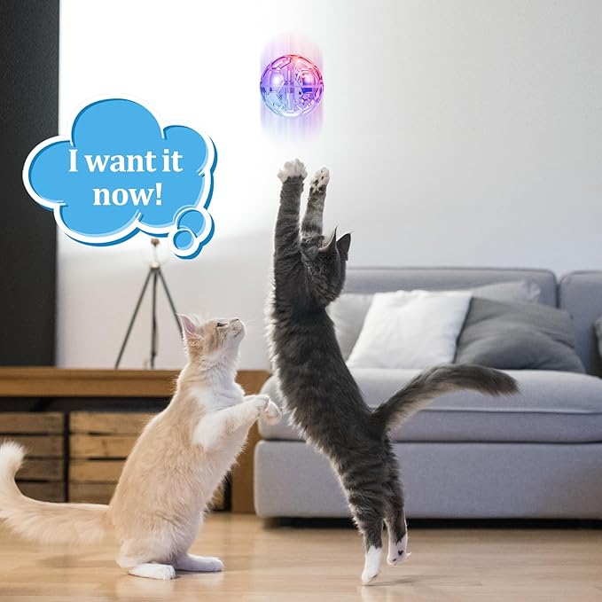 Sratte 2 Pcs Rechargeable Cat Ball Ghost Hunting Light up Cat Balls Toys Motion LED Motion Activated Flash Glowing Lighted Dog Interactive Toys Pet, Clear