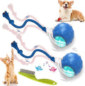 2026 New Dog Toy, Motion Dog Toy, Interactive Rolling Ball with Birdsong, Smart 360° Automatic Rolling Electric Dogs Ball Toys with Rope for Dogs and Cat Indoor Play (Blue*2)
