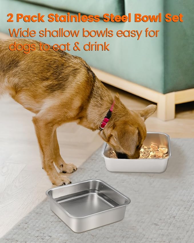 Stainless Steel Dog Bowls, [2 Pack] Water and Food Bowl Set, 1.6L Pet Metal Dishes for Small Medium Large Dogs