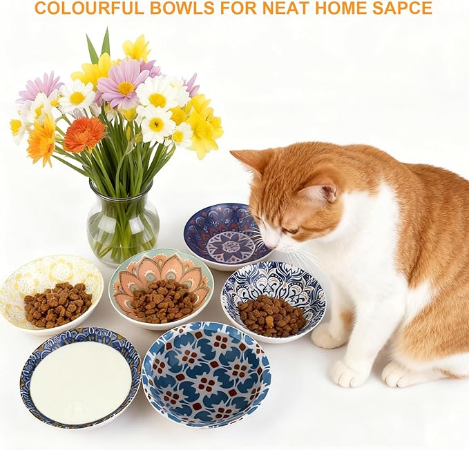 Ceramic Cat Food Bowls,6 Pack Colorful Cat Bowls Set,Anti-Slip Cats Dishes,Whisker Friendly Wide Pet Bowls for Indoor,5.75 inch Cute Kitten Plates for Wet and Dry Food Water