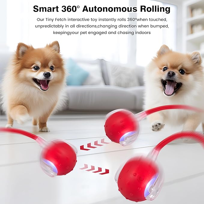 ZUAMEGUPetToy, Interactive Cat & Dog Ball Toy with Bird Sounds, Rechargeable 360° Smart Auto-Rolling Electric Pet Ball Toy (with Leash), Suitable for Indoor & Outdoor Use (Red)
