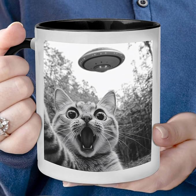 Funny Cat Selfie With UFO Alien Mug - Cat Lovers Gifts for Women, Men, Mom, Dad, Owner, Lady on Birthday, Halloween, Christmas - Humor Sarcastic Coffee Mug 11oz