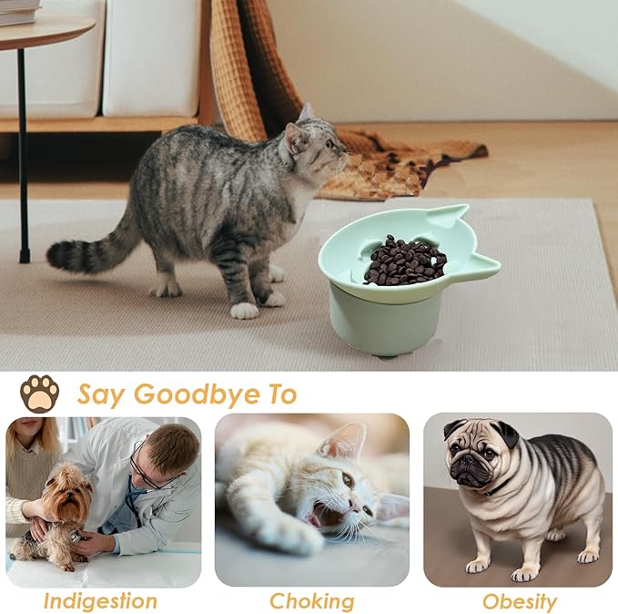Elevated Cat Bowl, Silicone Dog Bowls for Food and Water, Wide Shallow Cat Food Dish, Whisker Fatigue, Lead & Cadmium Free, Great Height for Pet(Green)