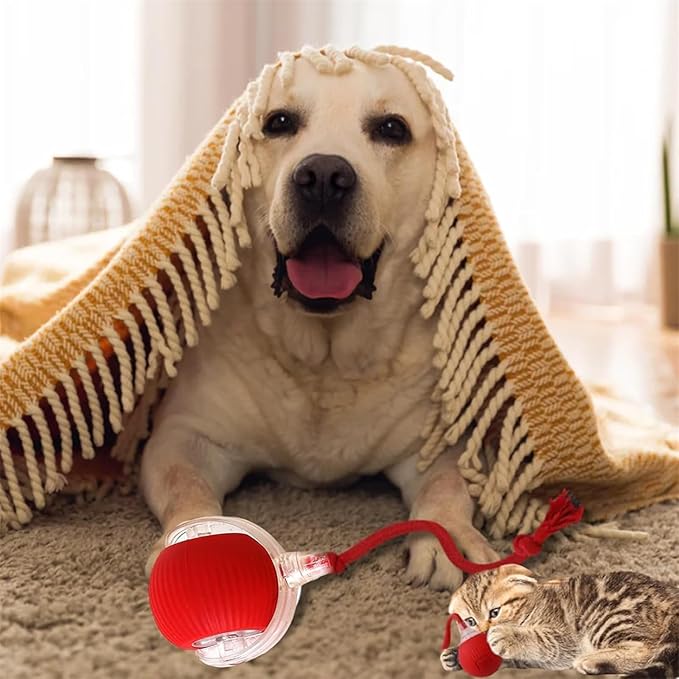 Smart Motion Pet Ball, Interactive Rolling Dog Ball, Rolling Balls Toys, 360° Automatic Self Moving Dog/Cat Toys