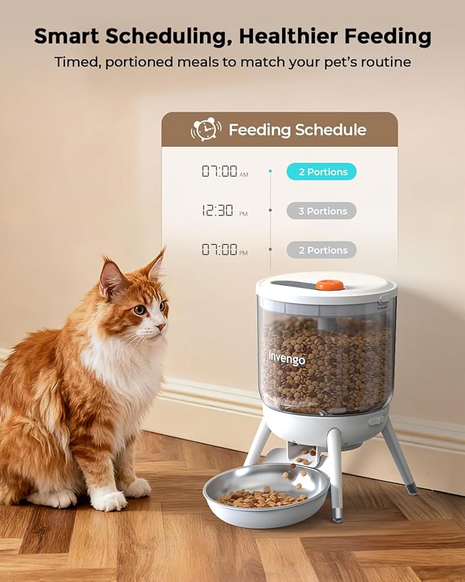 Automatic Cat Feeder, 3L Timed Pet Feeder for Cats & Small Dogs, Dual Power USB & Battery, Clear Hopper, Easy-Clean, Dry Food & Kibble, Up to 6 Meals Daily