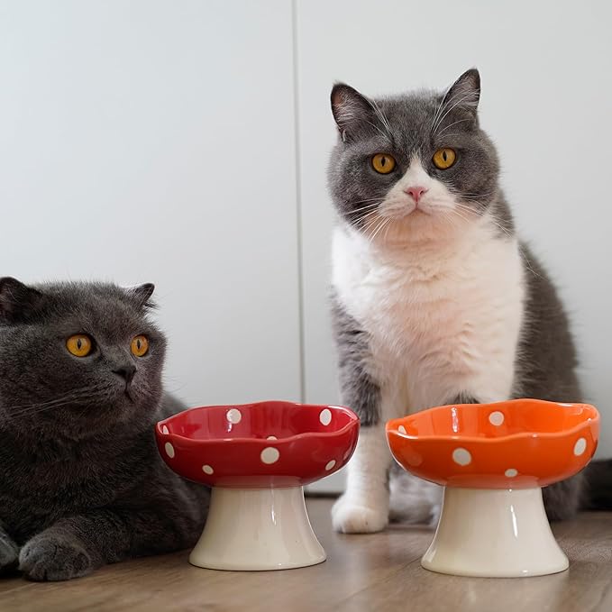 Ceramic Elevated Cat Bowls, Tilted Raised Pet Dish Anti Vomit Kitten Bowl for Indoor Cats, Whisker Friendly Pet Food and Water Bowl for Kitten, Cat, Puppies, Dishwasher Safe (Pink+Red+Yellow+Green)
