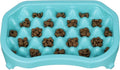Neater Pet Brands Neater Slow Feeder Dog Bowls, Slows Down Fast Eaters to Help Digestion & Prevent Overeating, Non-Slip Dog Bowl, BPA-Free, Holds 6 Cups of Food for Medium to Large Breed Dogs or Puppy