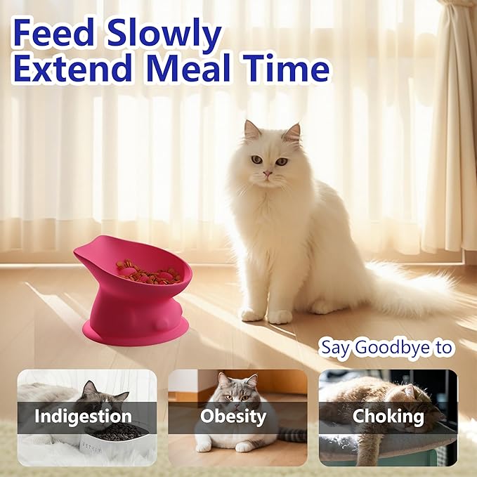 Slow Feed Cat Bowl, Elevated Cat Food Dish with Tilted Design, Dual-Use for Dry and Wet Food, Anti-Vomit, Anti-Choking, Easy to Clean