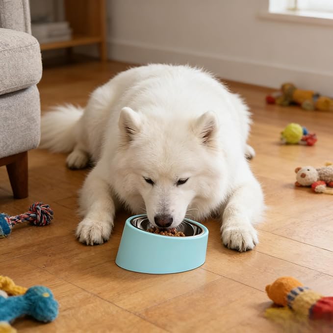 15° Slow Water Bowl for Medium Dogs (Medium, Blue), Anti-Gulping Pet Water Dish for 10-15kg Dogs, Non-Spill Raised Dog Bow