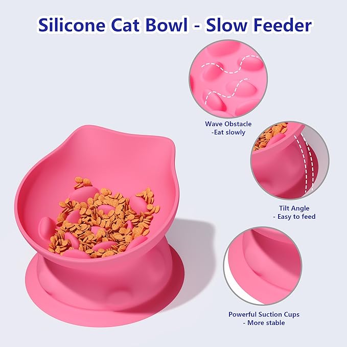 Slow Feed Cat Bowl, Elevated Cat Food Dish with Tilted Design, Dual-Use for Dry and Wet Food, Anti-Vomit, Anti-Choking, Easy to Clean