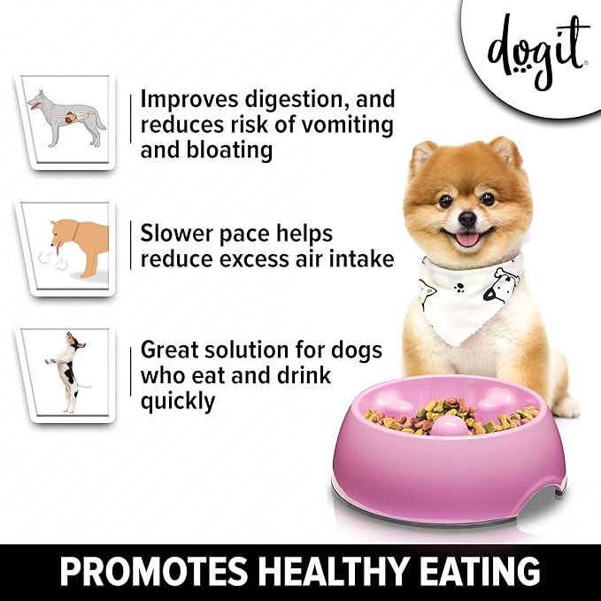 Dogit Go Slow Anti-Gulping Dog Dish, Slow Feeding Dog Bowl Suitable for Wet or Dry Food, Small, Pink