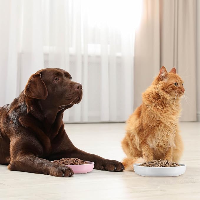 Nitial 2 Pcs Cat Slow Feeder Bowl Fish Pool Design Feeder Dish Fun Interactive Cat Food Bowl Healthy Eating Diet Bowls for Pet Puppy Dogs Dishwasher Safe(White, Pink)