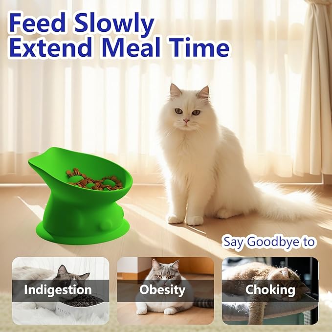 Slow Feed Cat Bowl, Elevated Cat Food Dish with Tilted Design, Dual-Use for Dry and Wet Food, Anti-Vomit, Anti-Choking, Easy to Clean