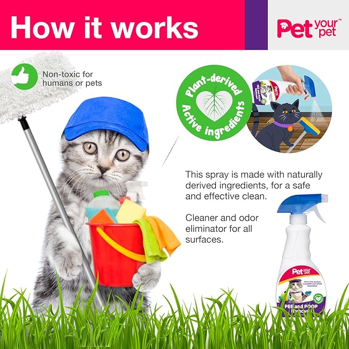 Cat Pee and Poop Remover 32 fl Oz – All-in-One Pet Stain and Odor Remover with Plant-Derived Ingredients – Stain and Odor Removers for Upholstery, Carpets & Hard Floors