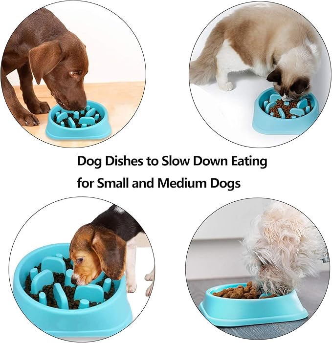 Slow Feeder Dog Bowl, Dog Bowl Slow Eating,Small Dog Feeder Slow,Dog Dishes to Slow Down Eating for Small and Medium Dogs (Green3)