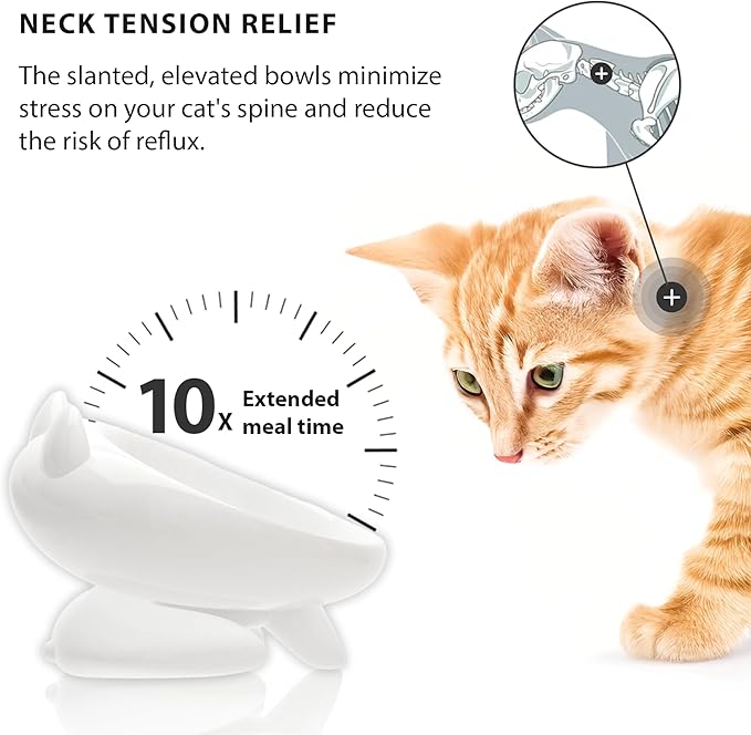2 Pack Elevated Slow Feeder Cat Bowls – Whisker-Friendly Tilted Ceramic Bowls Anti Vomiting, Raised Feeding Station with Anti Slip Mat, Ideal for Senior Cats & Small Dogs
