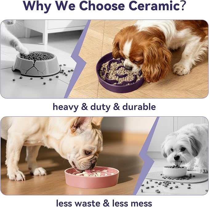 Ceramic Slow Feeder Dog Bowl - Feeding Dish for Fast Eaters - Maze Dog Bowl to Slow Down Eating - Ideal Food Control Dish for Small Breeds - 0.8 Cups (80g) - 6.3 Inch - White