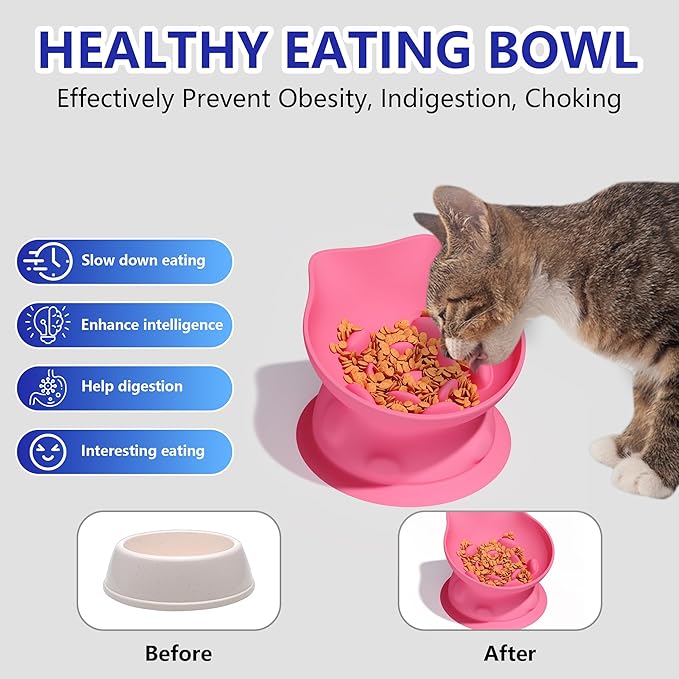Slow Feed Cat Bowl, Elevated Cat Food Dish with Tilted Design, Dual-Use for Dry and Wet Food, Anti-Vomit, Anti-Choking, Easy to Clean