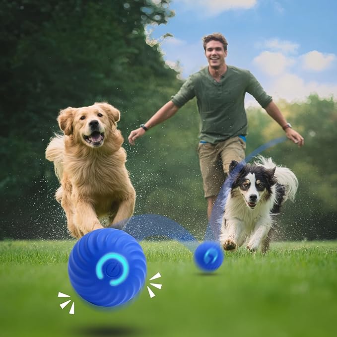 2Pcs Interactive Dog Ball Toys,Smart Small Medium Dog Toys to Keep Them Busy with 3 Cover, Automatic Rolling and Jumping Pet Balls Ball for Dogs,Pet Interactive Toy Balls.