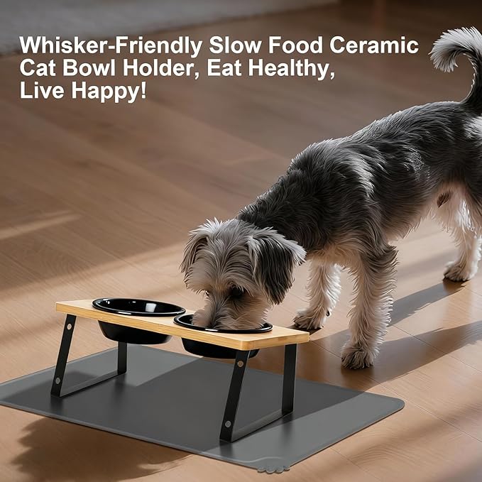 Upgraded Adjustable Height Cat Food Bowls Stand Ceramic Dog Bowls and Slow Feeder Cat Bowl, 15°Tilted Stand Anti Vomiting Raised for Small and Medium Sized Cats Dogs (Black (2 Bowl+Pet mat))
