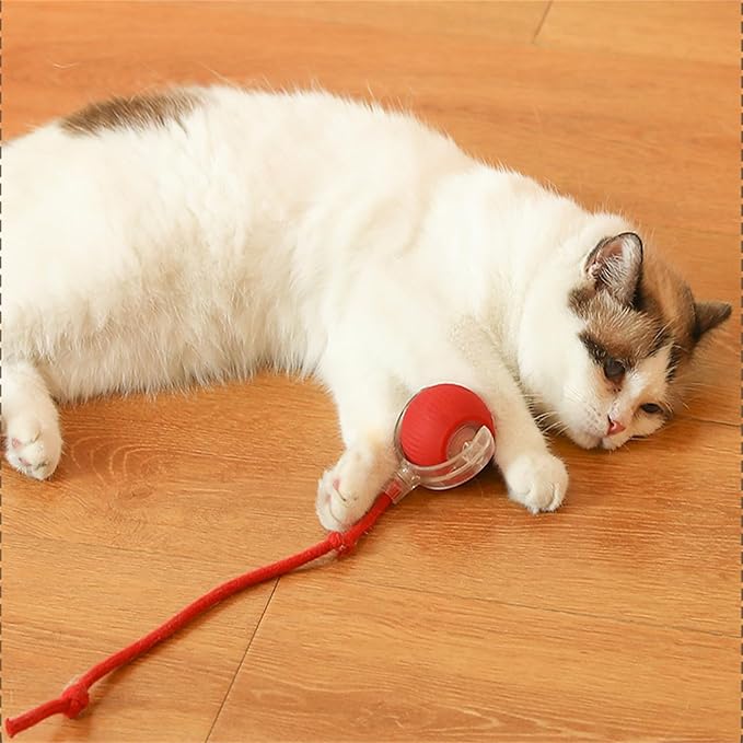 Smart Motion Pet Ball, Interactive Rolling Dog Ball, Rolling Balls Toys, 360° Automatic Self Moving Dog/Cat Toys