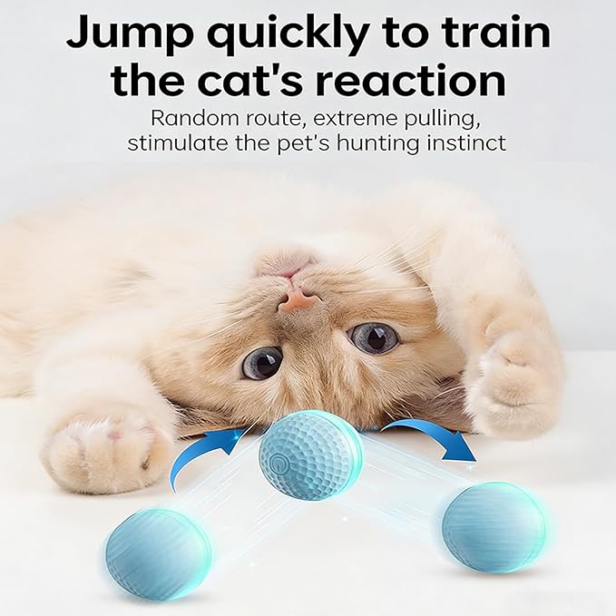 PANGBOER Lightup Cats Toy Ball with Automatic Rolling and Chewproof Design Teaser for Pet Dog Cats Indoor Entertainment Automatic Rolling Ball Pet