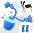 Interactive Dog Toys Ball - New Upgraded Chase Buddy Dog Toy for Small Dogs, Automatic Moving and Rolling Dogs Ball for Boredom, USB Rechargeable(Blue)