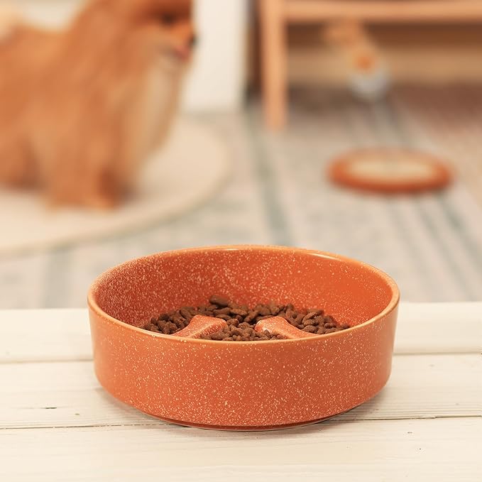 Ceramic Slow Feeder Cat Bowls 6 Inch Cute Bone Slow Feeding Dog Food Bowl,Whisker-Friendly, Anti-Vomiting Feeder for Cats and Small Dogs Non Slip Dishwasher/Microwave Safe (Orange)