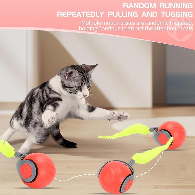 Speedy Tail Automatic Cat Ball Toy Self Rolling Moving Self-Rotating Cat Exercise Ball USB Rechargeable Interactive Hunting Cat Toy (Upgrade Orange)