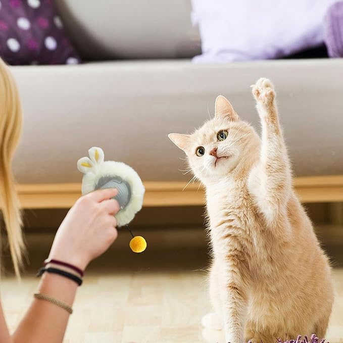 2 in 1 Interactive Cat Toys for Indoor, Toy Fast Rolling Ball in Play Mat,Kitten Automatic Toy Motion Activate,Rechargeable Kitten Toys Ball(Blue)