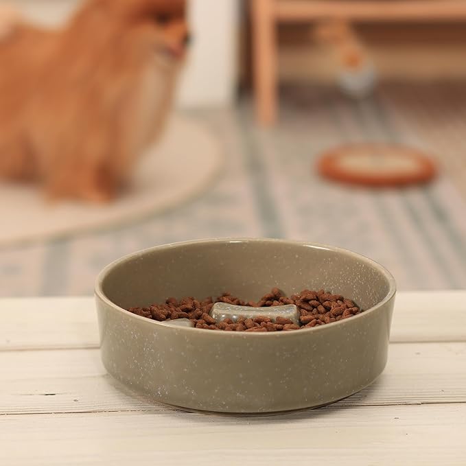 Ceramic Slow Feeder Cat Bowls 6 Inch Cute Bone Slow Feeding Dog Food Bowl,Whisker-Friendly, Anti-Vomiting Feeder for Cats and Small Dogs Non Slip Dishwasher/Microwave Safe (Grey)